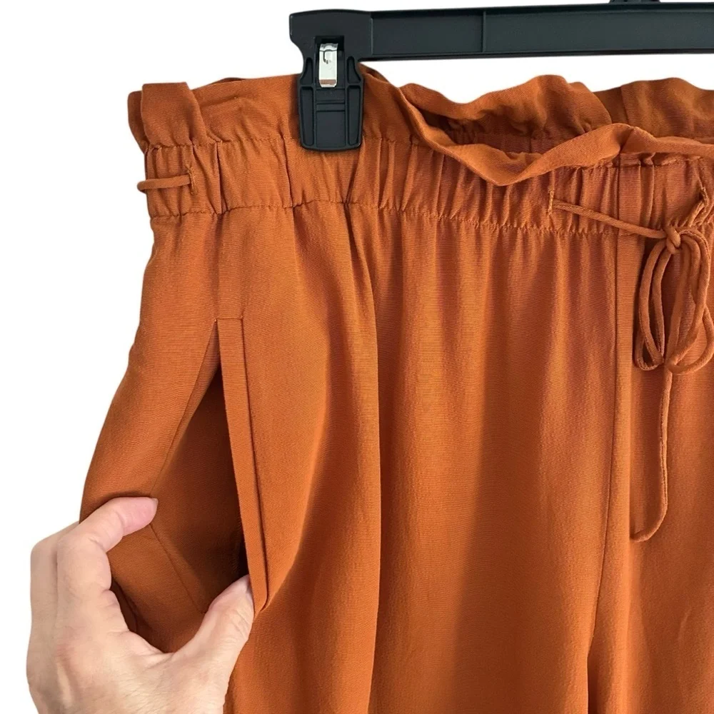 Eileen Fisher Tencel Viscose Straight Ankle Cropped Pants Color Musk Large